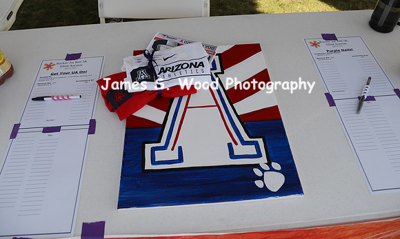 2016 RockinForRett5KJSW-p5