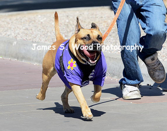 2016 RockinForRett5KJSW-p112
