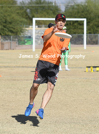 12917HoasisUltimate12:30-p241
