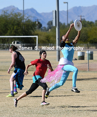 12917HoasisUltimate2:15-p316A