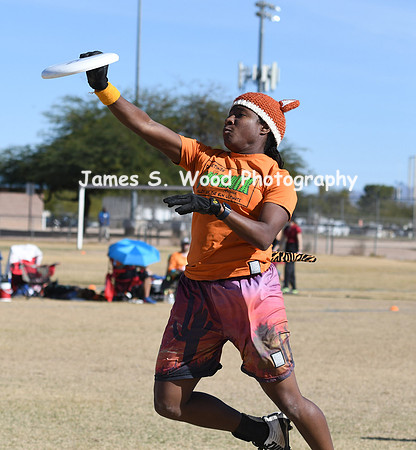 12917HoasisUltimate2:15-p335